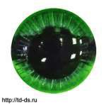 Глаза для игрушек на ножках "живые" черный/зеленый (Д24-25 ) диам. 25 мм  уп. 10 шт.  - швейная фурнитура, товары для творчества оптом  ТД "КолинькоФ"