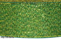 Лента металлизированная (парча)  шир.  25 мм,  уп. 24 ярд  цвет №073 зеленый/золото - швейная фурнитура, товары для творчества оптом  ТД "КолинькоФ"